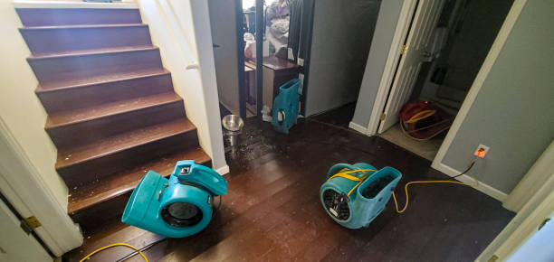 Best 24-hour water damage restoration  in Creve Coeur, MO