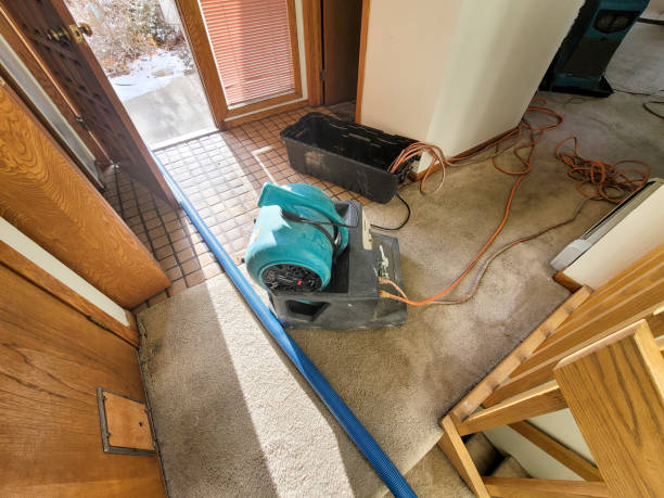 Best Water damage restoration near me  in Creve Coeur, MO