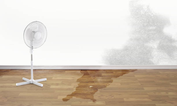 Best Residential water damage restoration  in Creve Coeur, MO