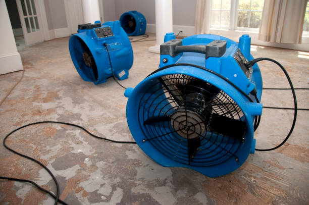 Water damage restoration experts in MO