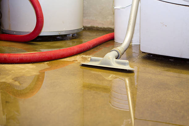 Best Water damage contractors near me  in Creve Coeur, MO