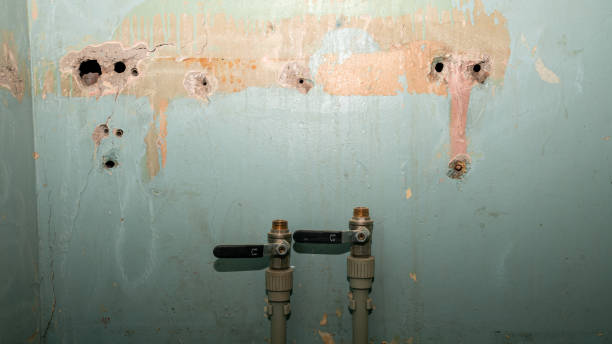 Best Carpet water damage restoration  in Creve Coeur, MO